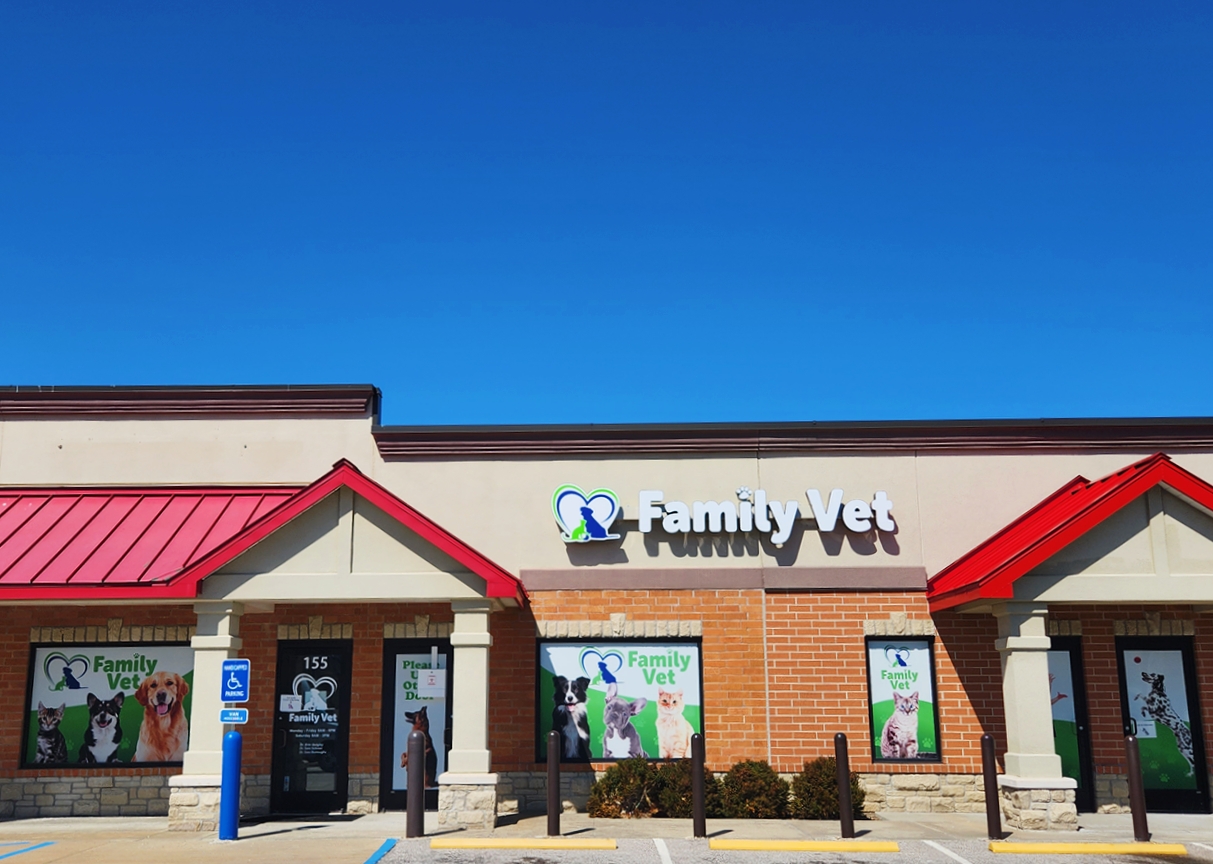 Wentzville Animal Hospital gallery